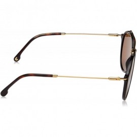 Sport Men's 171/S Round Sunglasses - Black/Brown Gold - CK18H5GL82L $41.96