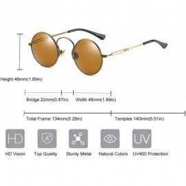 Round Polarized Small Round Sunglasses Retro Metal Frame - Brown Tinted Polarized Lens - CV18SL2LNM7 $14.12