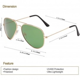 Aviator Aviator Polarized Sunglasses Classic Protection - Darkgreen Lens/Gold Frame - CB18CNUOX3O $13.74